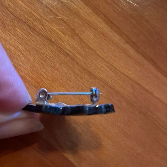 Painted Coconut Shell Pin - Picture 4 of 5